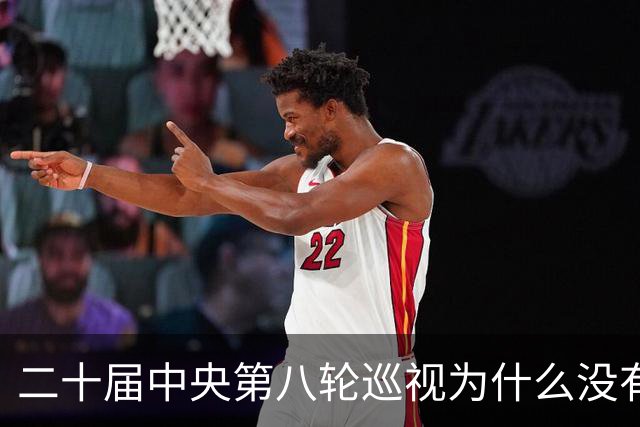 二十届中央第八轮巡视为什么没有公布巡视组名单和联系方式？